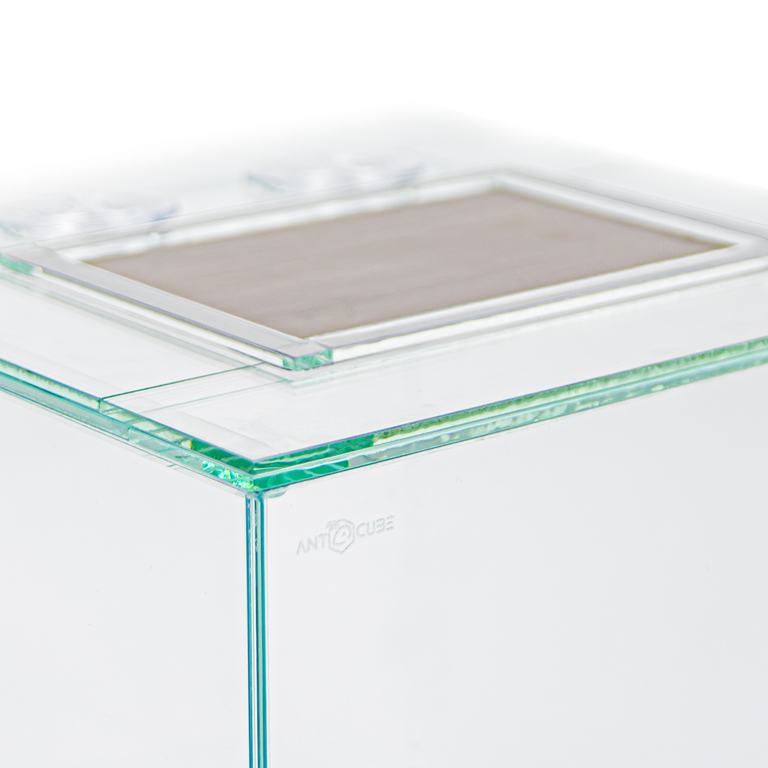 Ameisenarena Rahmen 30x30 - 5cm